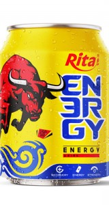 Recovery Power Energy Drink 250ml