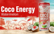 Rita Coco Energy Carbonated Watermelon Flavor and the Rise of Functional Carbonated Beverages in Global Trade