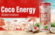 Rita Coco Energy Carbonated Watermelon Flavor and the Rise of Functional Carbonated Beverages in Global Trade
