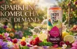 The Rising Demand for Sparkling Kombucha Prebiotic with Raspberry and Lemonade in the US and European Markets