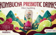 Kombucha prebiotic drinks in can