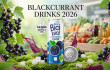 What Importers Need to Know About Blackcurrant Drinks in 2026
