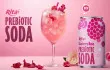 Raspberry Rose Prebiotic Soda: A New Wave in Functional Beverage Innovation