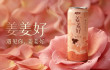 Ginger Milk Tea Drink 325ml Can: A Distinctive Ready-to-Drink Beverage for Global Markets