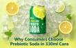Why Consumers Are Choosing Prebiotic Soda in 330ml Short Cans