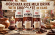 Horchata Rice Milk Drink with Chocolate in Cans — Market Trends and Opportunities for US Importers