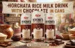 Horchata Rice Milk Drink with Chocolate in Cans — Market Trends and Opportunities for US Importers