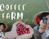 From Highlands to Can: Rita Food & Drink Co.,Ltd Visits Vietnam’s Coffee Gardens in Peak Harvest Season