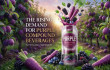 Poster showcasing purple compound beverages highlighting unique flavors and global market appeal