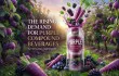 Poster showcasing purple compound beverages highlighting unique flavors and global market appeal