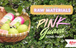 Rita Visits a Guava Farm in Dong Thap to Explore Fresh Fruit Sourcing