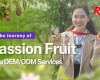 Where Sun Meets Soil: Rita Food & Drink Co.,Ltd Visits Passion Fruit Gardens in Vietnam’s Central Highlands