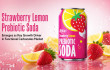 Strawberry Lemon Prebiotic Soda Emerges as Key Growth Driver in Functional Carbonates Market
