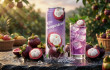 Discover sparkling mangosteen drink solutions from Vietnam