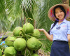 Ben Tre Coconut Farm: From Plantation to High-Quality Products