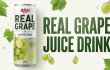 Real Fruit Sparkling Water Market Insights for US and European Distributors
