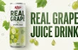 Real Fruit Sparkling Water Market Insights for US and European Distributors