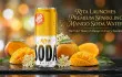 RITA premium sparkling mango soda drink in a 320ml can