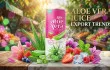 Aloe vera juice export trends for US and Europe in 2026