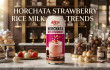 Supplier Wholesale 16.5 Fl Oz Cans Rice Milk Drink Horchata Mix Strawberry — Market Trends and Opportunities for Importers and Distributors in the USA and Europe