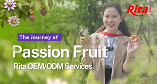 Where Sun Meets Soil: Rita Food & Drink Co.,Ltd Visits Passion Fruit Gardens in Vietnam’s Central Highlands