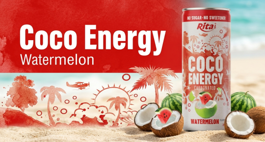 Rita Coco Energy Carbonated Watermelon Flavor and the Rise of Functional Carbonated Beverages in Global Trade