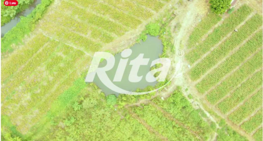 From Fresh Aloe Vera Farms to Premium Beverages