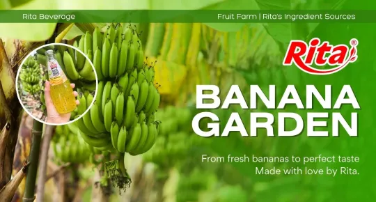 Following the Banana Trail: Rita’s Field-to-Factory Journey in Every Drop