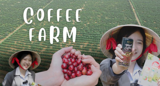 From Highlands to Can: Rita Food & Drink Co.,Ltd Visits Vietnam’s Coffee Gardens in Peak Harvest Season