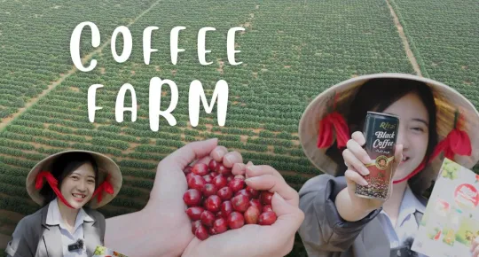 From Highlands to Can: Rita Food & Drink Co.,Ltd Visits Vietnam’s Coffee Gardens in Peak Harvest Season