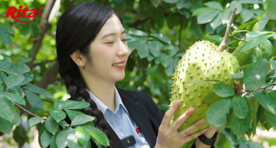 Discovering Rita’s Soursop Raw Material Area at Song Hau Farm