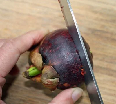 cut mangosteen