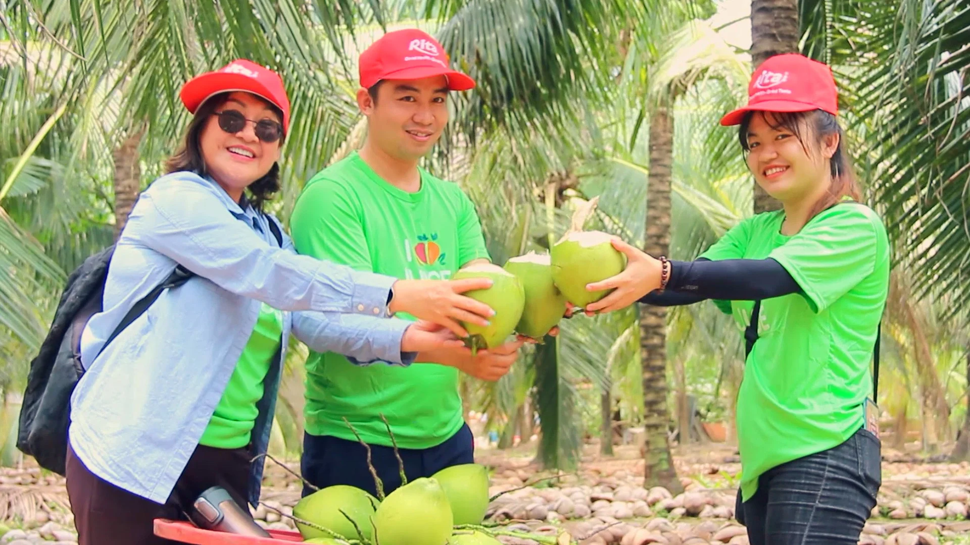 Rita offer organoc coconut water