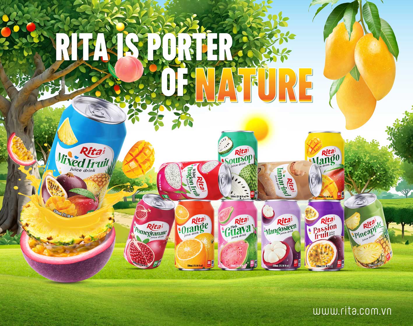 11 flavours Vietnam tropical fruit juice