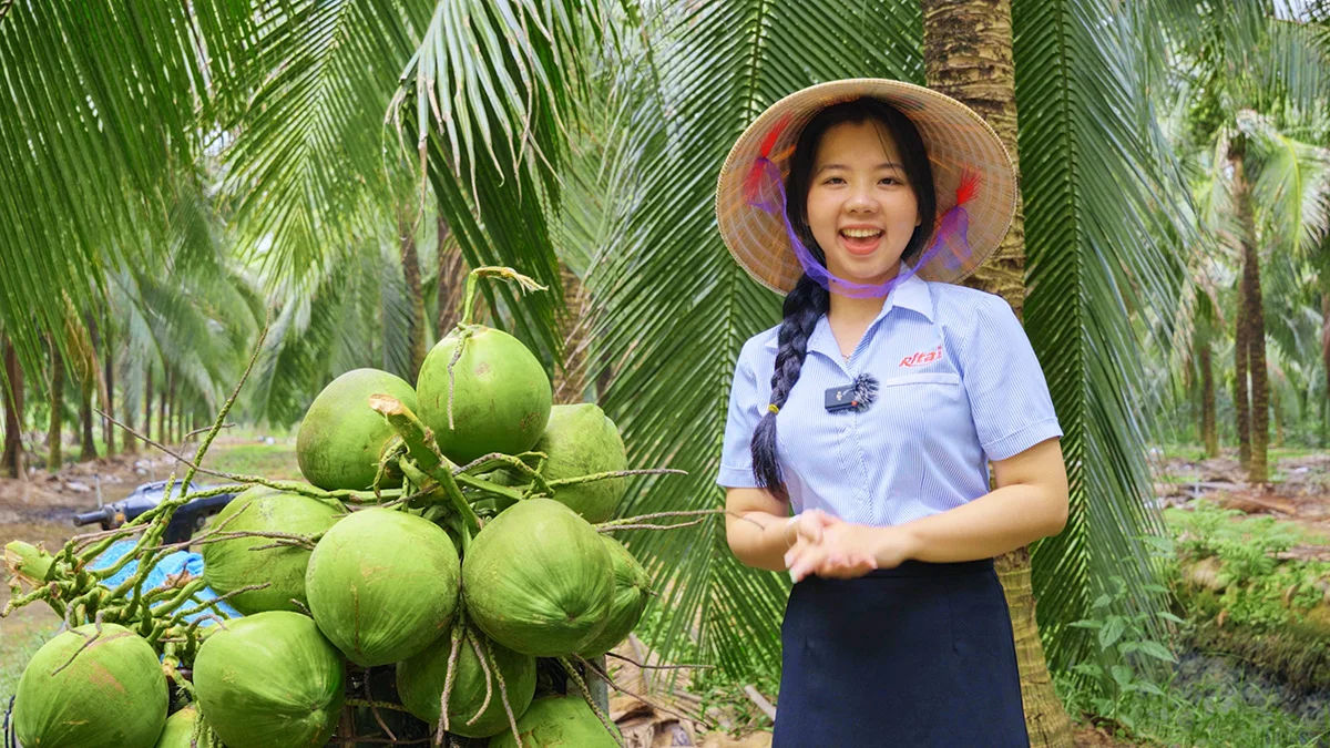 Ben Tre Coconut Farm: From Plantation to High-Quality Products