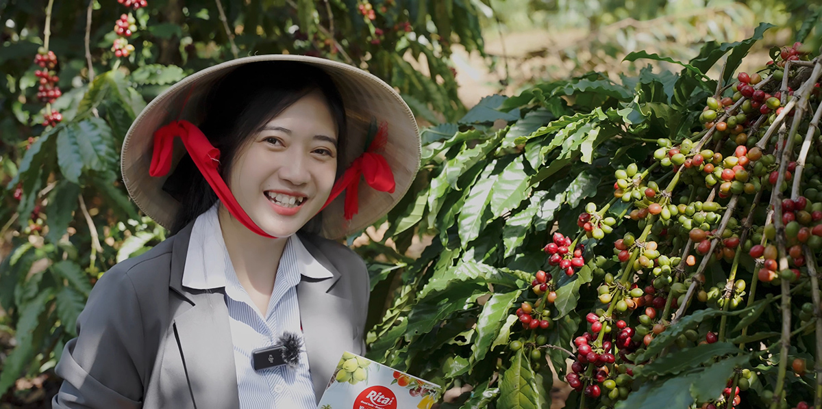 From Highlands to Can Rita Food and Drink CoLtd Visits Vietnams Coffee Gardens in Peak Harvest Season 10