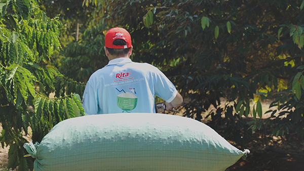 From Highlands to Can Rita Food and Drink CoLtd Visits Vietnams Coffee Gardens in Peak Harvest Season 7