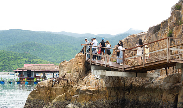 Ninh Chu Coastal Paradise Rita Team Building 2025 Inspires Unity and Joy in Ninh Chu Vinh Hy