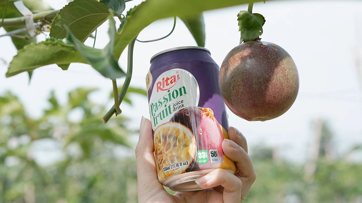 Passion Fruit Gardens in Vietnams Central Highlands 13