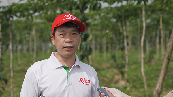 Passion Fruit Gardens in Vietnams Central Highlands 24