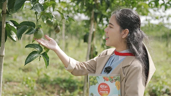 Passion Fruit Gardens in Vietnams Central Highlands 4