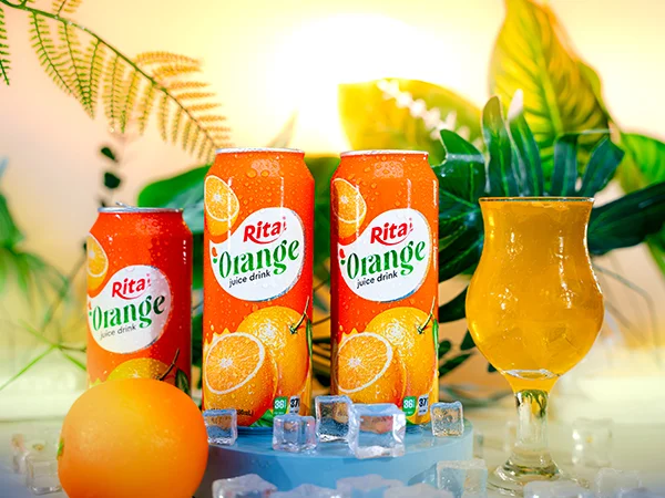 RITA orange juice drinks 490ml best tropical juice 25 web