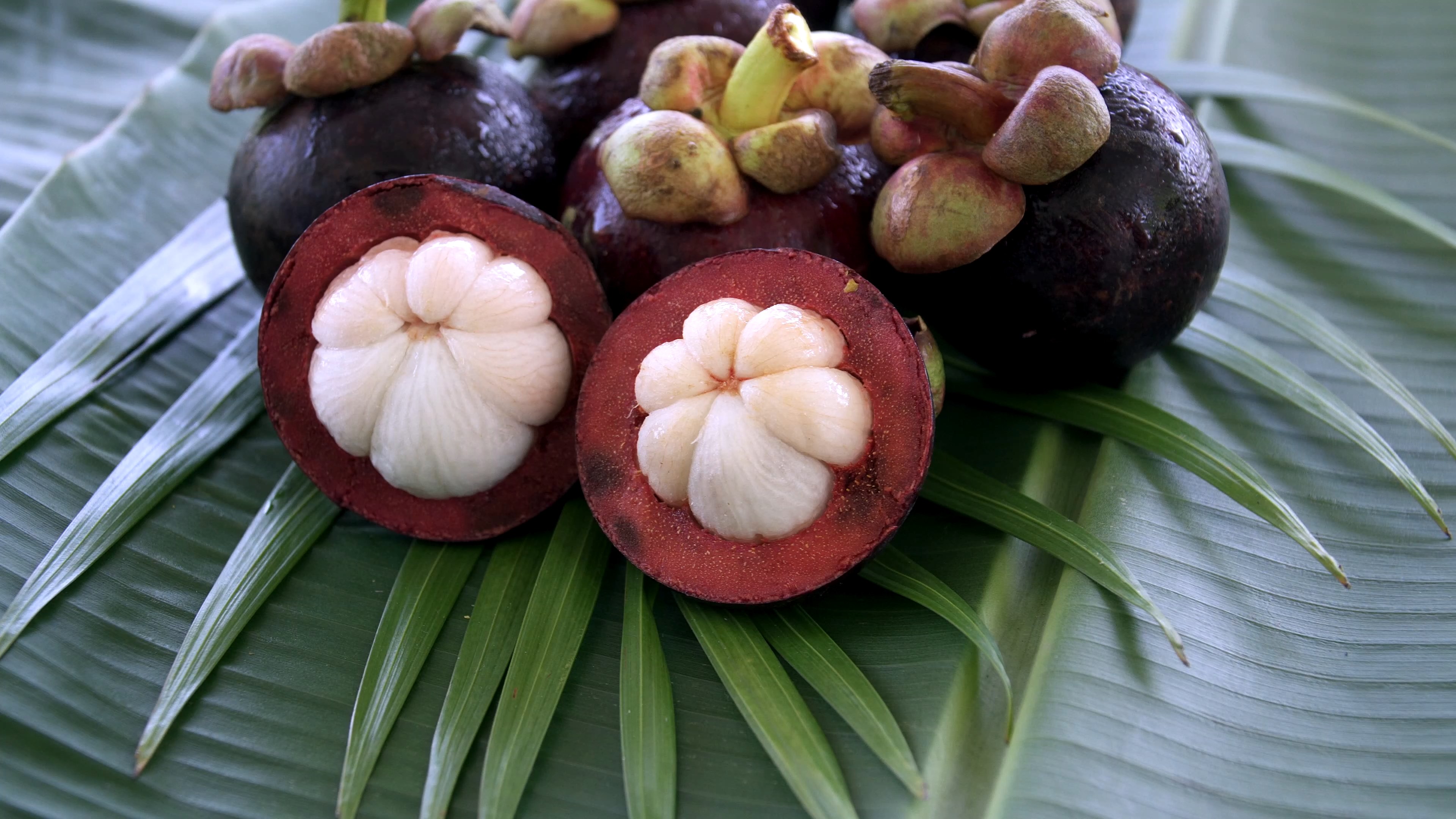 Why Ritas Mangosteen Juice is the Best Choice