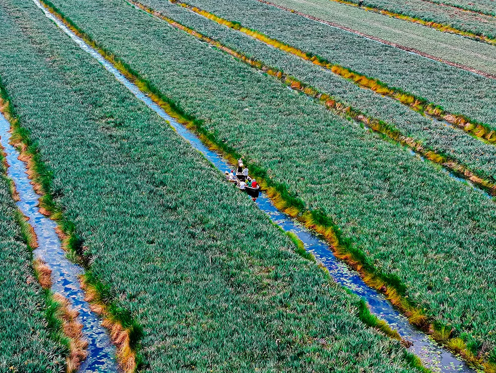 nhà vường rita 51