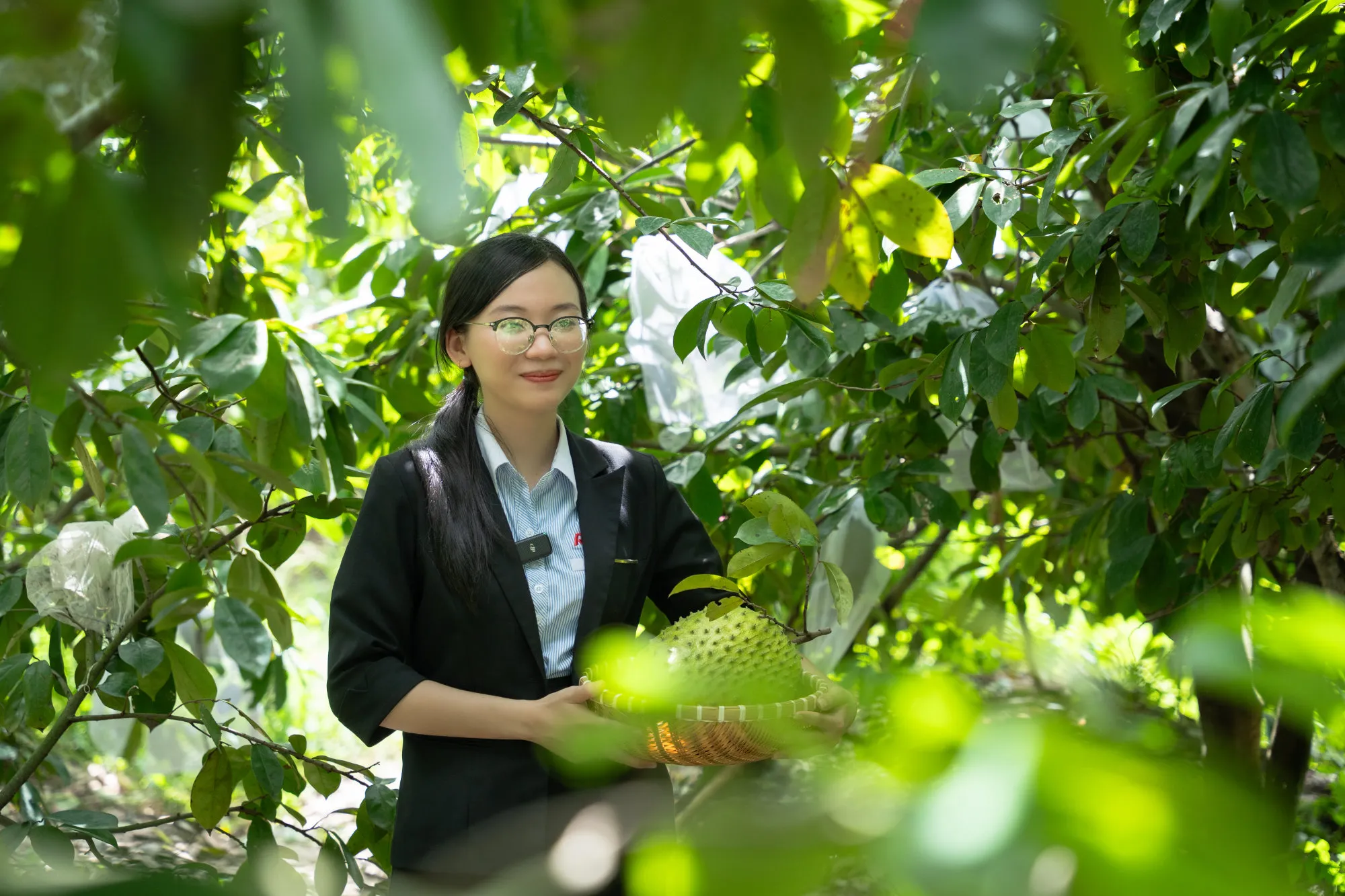 Discovering Ritas Soursop Raw Material Area at Song Hau Farm