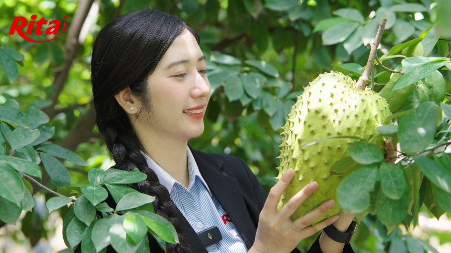 Discovering Ritas Soursop Raw Material Area at Song Hau Farm 10