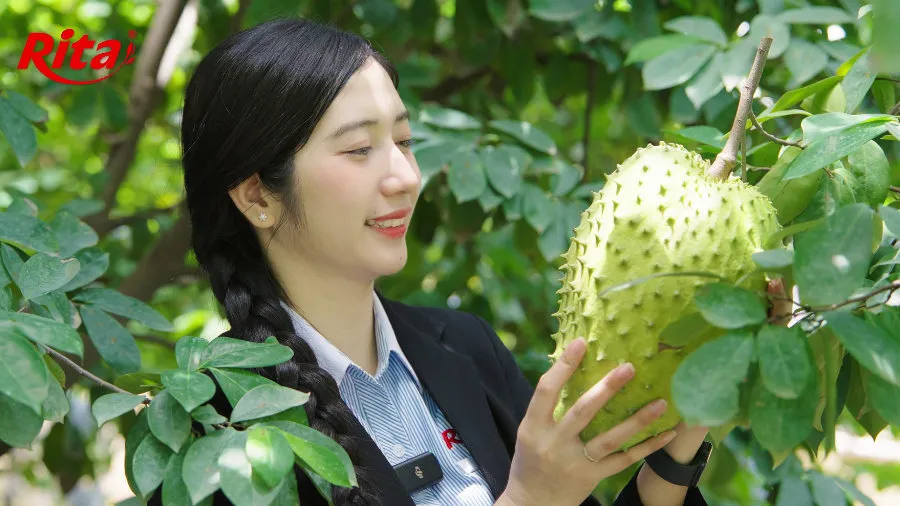 Discovering Ritas Soursop Raw Material Area at Song Hau Farm 10