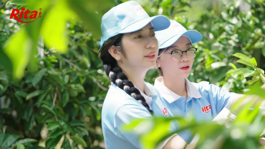 Discovering Ritas Soursop Raw Material Area at Song Hau Farm 7