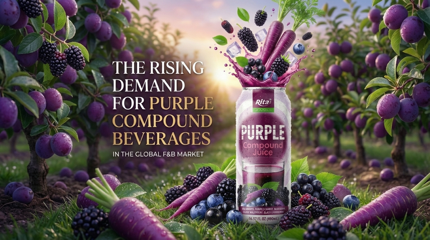 Rita Purple Compound 202604031501