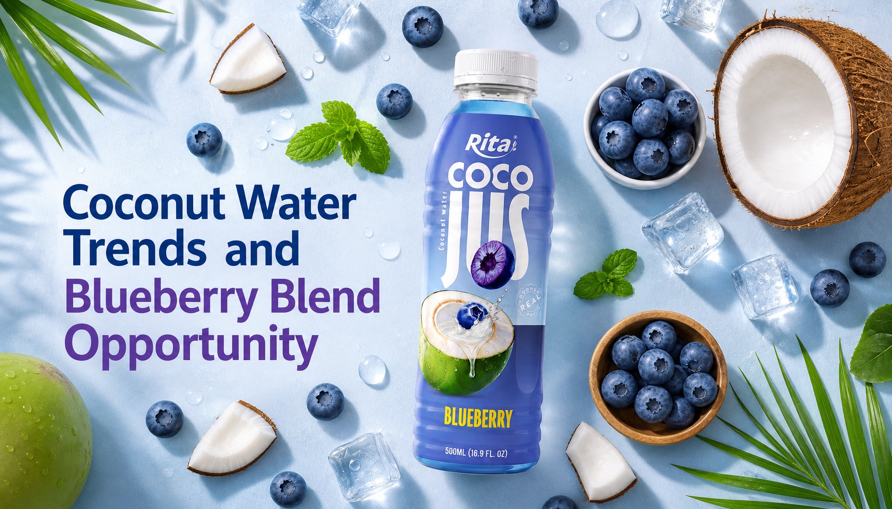 Coconut Water Supply Chain Trends and the Blueberry Blend Opportunity